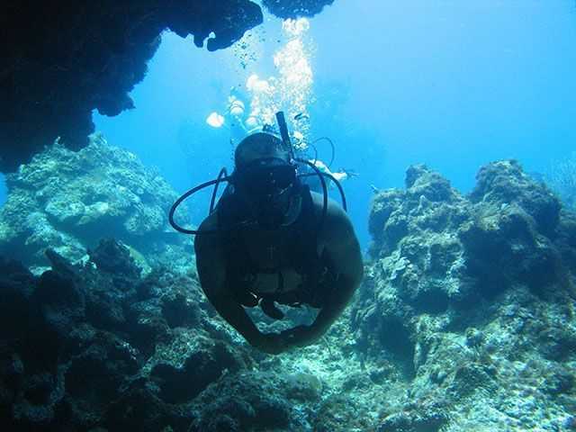 Abaco SCUBA Conditions and Forecast – June 2014 - Coastal Angler & The ...