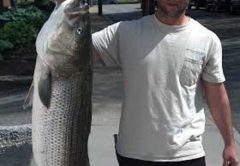 rhode island bass fishing