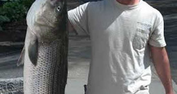 rhode island bass fishing