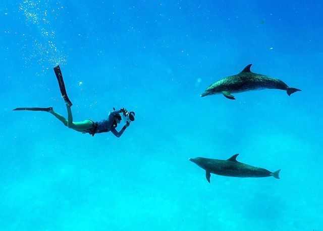 Jillian photographing wild dolphins. PHOTO CREDIT: Jillian Rutledge.