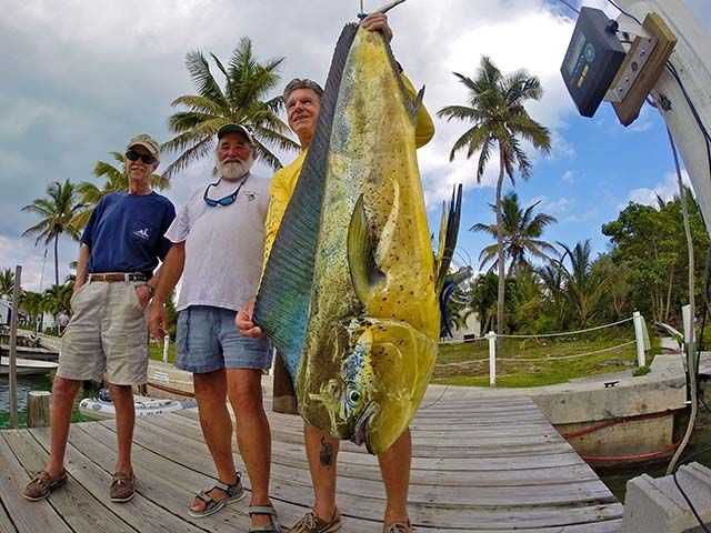 The winning mahi-mahi in the recent Man-O-War Cay 12th Annual Fishing Tournament. PHOTO CREDIT: Jim and Donna Albertson.