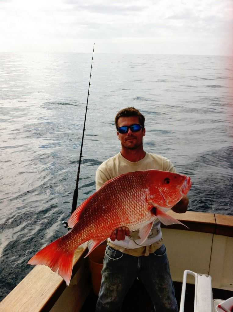 Red snapper 1