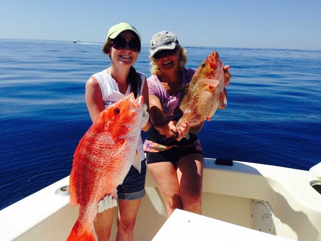 Red snapper 2