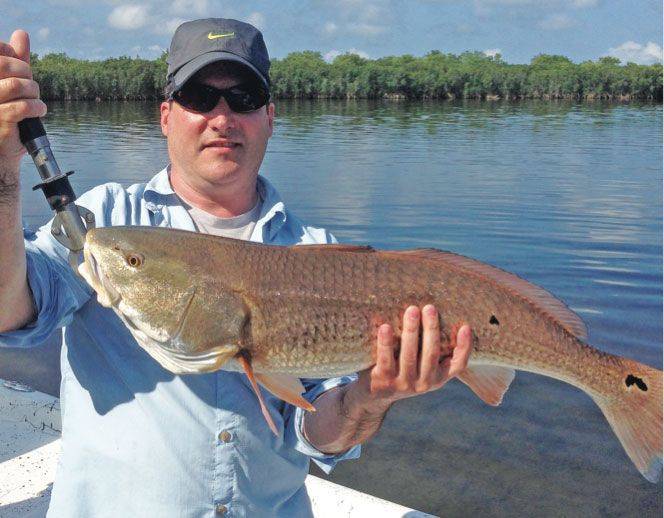 Crystal River Fishing Report: June 2014 | Coastal Angler & The Angler