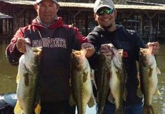 Lake Seminole Fishing Report: June 2014