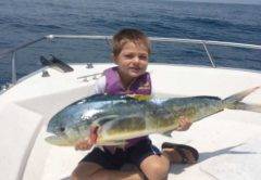 sebastian inlet dolphin fishing