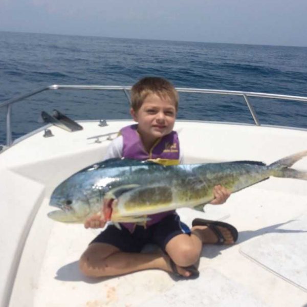 sebastian inlet dolphin fishing