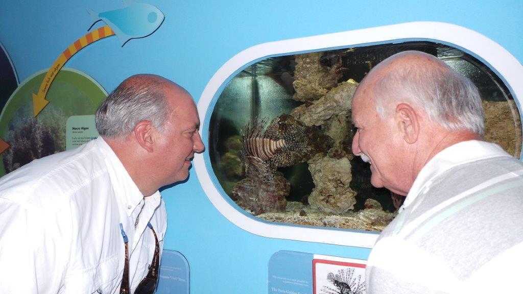 U.S. Congressman Steve Southerland (left), of Panama City, Fla., and Capt. Bill Kelly, Exec. Dir. of the Florida Keys Commercial Fisherman’s Association, view a lionfish on display in an aquarium at the Florida Keys National Marine Sanctuary’s Eco-Discovery Center in Key West, Fla. Two rapidly reproducing and voracious non-native lionfish species, imported from the Indo-Pacific region, are wreaking havoc on fisheries and marine ecosystems in the Gulf of Mexico, Western Atlantic and the Caribbean Sea. (Photo courtesy of Melissa Thompson)