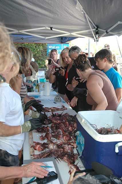 Everyone wanted photos of the lionfish haul. PHOTO CREDIT: Gary Guertin.