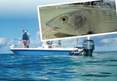 Abaco July Fishing Report