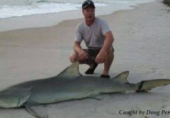 Daytona Beach Surf Fishing Report