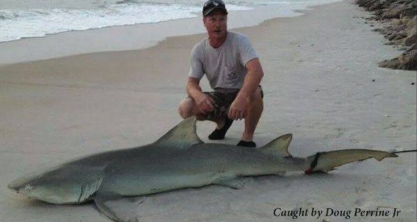 Daytona Beach Surf Fishing Report