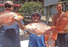 Ponce Inlet Dive Forecast