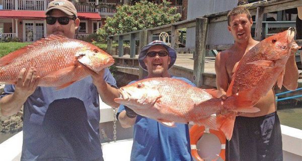 Ponce Inlet Dive Forecast