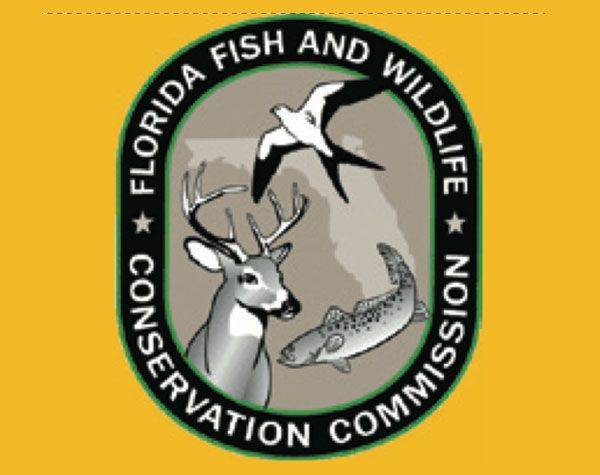 florida-fish-wildlife-news