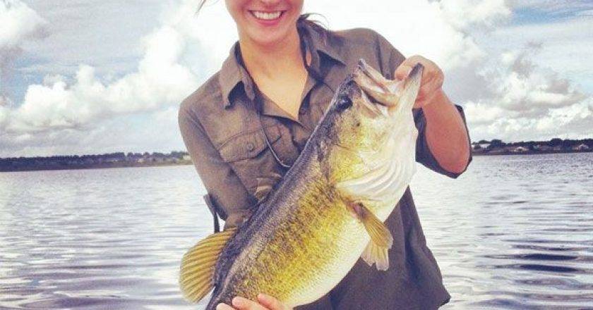 Lake Seminole Fishing Report