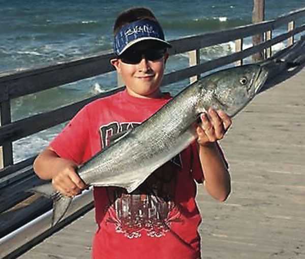 NC Pier Fishing Report: August 2014 | Coastal Angler & The Angler Magazine