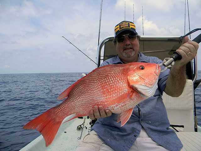  The one thing on everyoneís mind RED SNAPPER! PHOTO CREDIT: Capt. Doug Kaska.