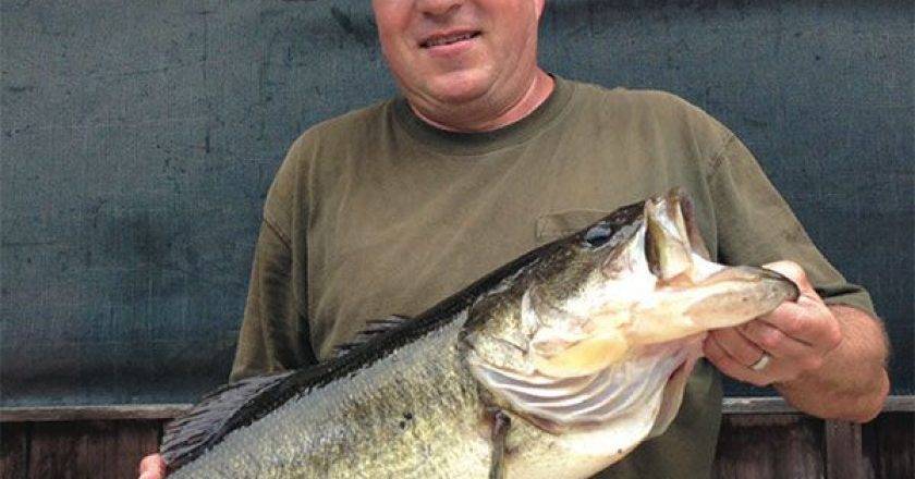 St Johns Fishing Report