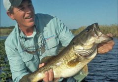 St. Johns River Fishing Report