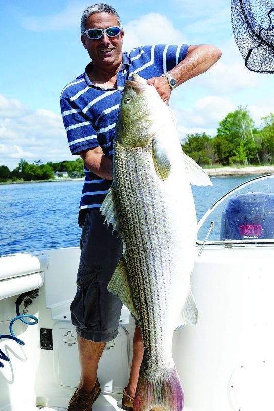 50pound striper Coastal Angler & The Angler Magazine