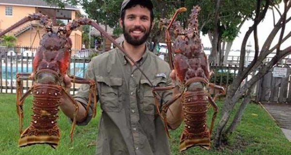 Big Florida lobsters