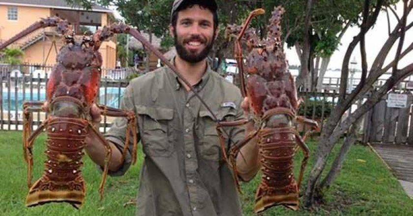 Big Florida lobsters