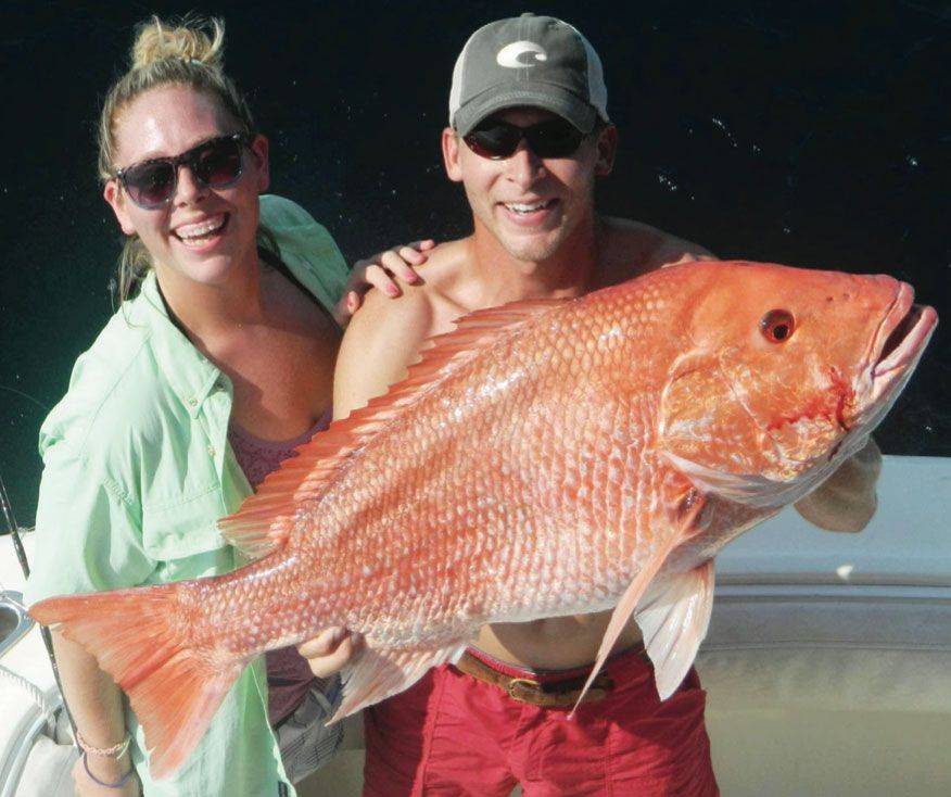 al-gulf-coast-fishing-report