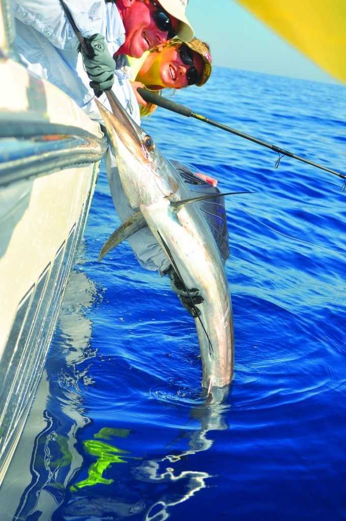 That was my first sailfish and hopefully not my last!