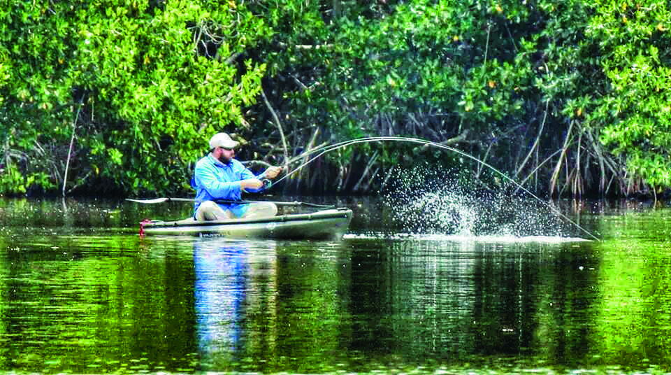 Top Ten Kayak Fishing And Gear Tips For The Everglades And Ten Thousand  Islands – Off-The-Beaten Path Adventures and Eclectic Musings Of An  Itinerant Angler