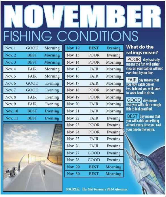 best days to fish Coastal Angler & The Angler Magazine