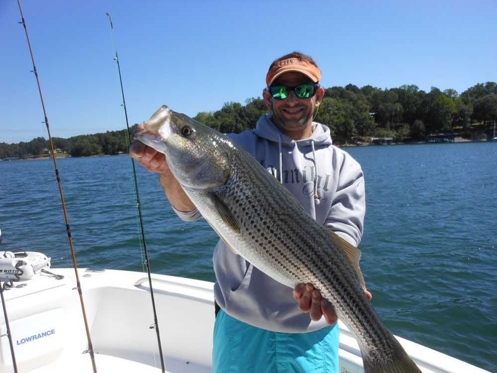 Fishing for fall stripers in Alabama 