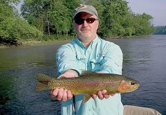 rainbow trout