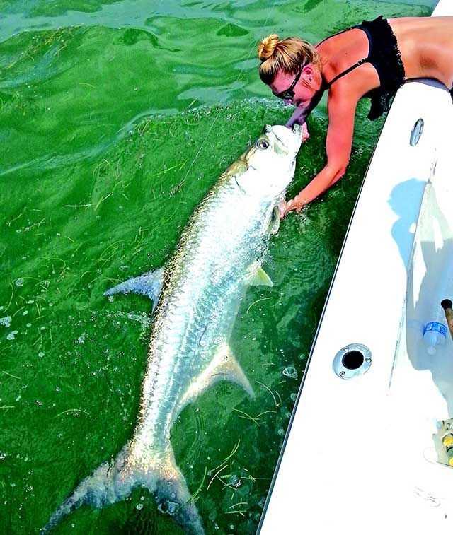 Capt. Vicky Wiegand getting down and dirty with a tarpon. Photo courtesy of Capt. Vicky Wiegand.