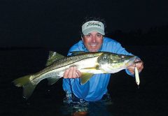 snook