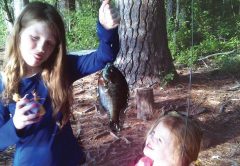 fish