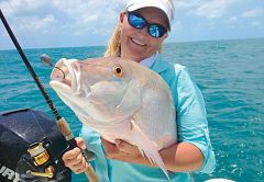 mutton snapper