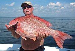 Red Snapper