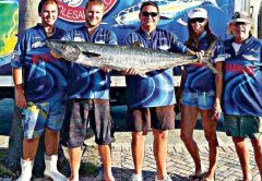 kingfish