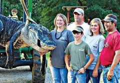 gator