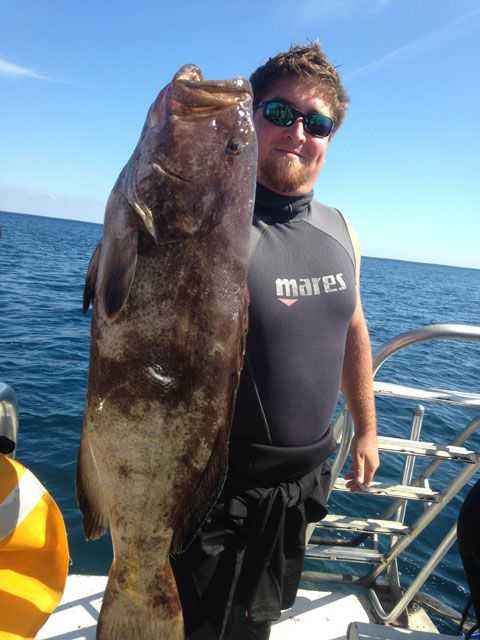 Get out and get those grouper now. Atlantic grouper season closes January through April. Here Steve is holding a black grouper. Photo provided by Steve Wood.