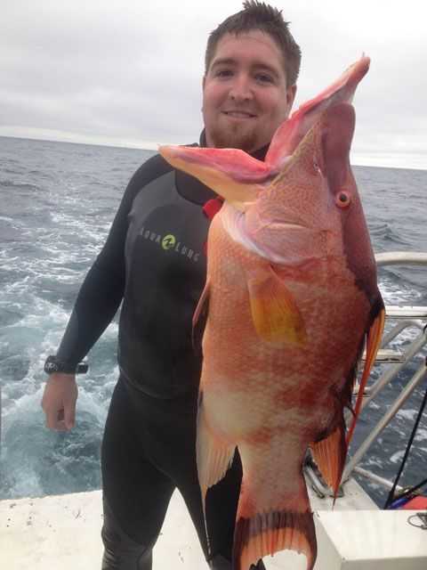 Steve speared this hogfish last month on a cooler day when the skies were cloudy. Photo provided by Steve Wood.
