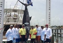 record marlin