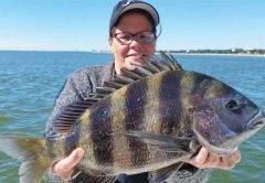 sheepshead