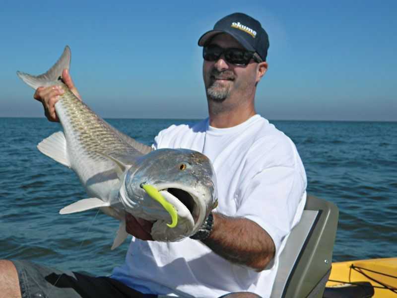 Redfish