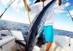 angler holding wahoo