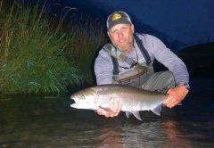 steelhead