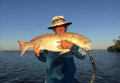 42-inch redfish caught in Sebastian