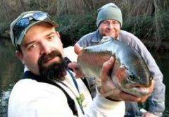 trout