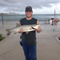 Snook caught at the Fort Pierce Inlet south jetty.